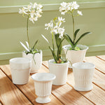 Mindy Mini Cachepots, Set of 6