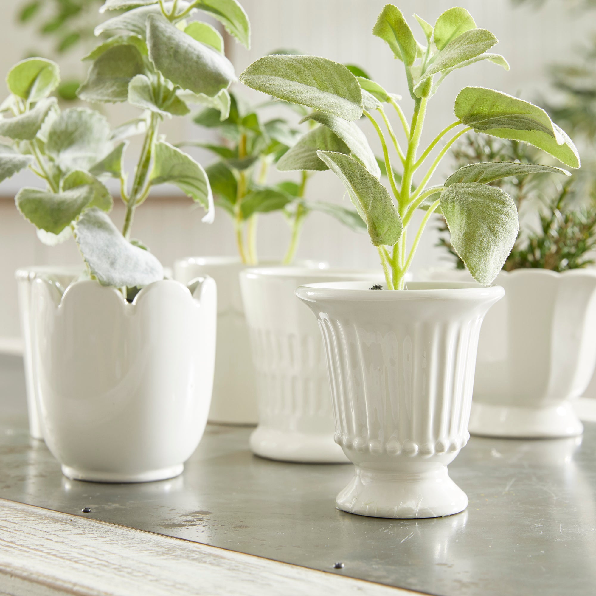Mindy Mini Cachepots, Set of 6
