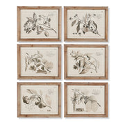 Fruit Bearing Palette Prints, Set of 6