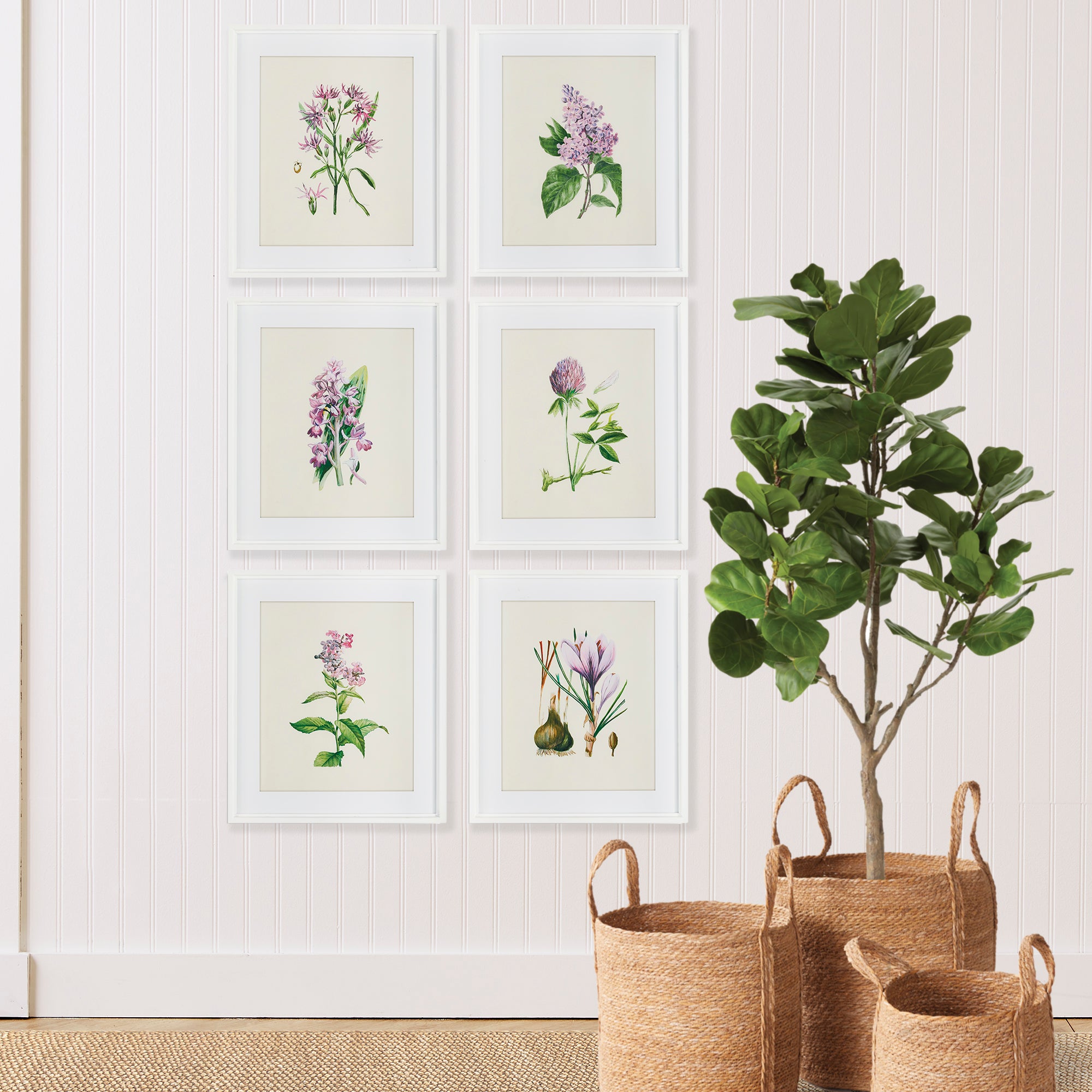 Purple Flower Study Prints, Set of 6