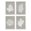 Carrie Coral Fan Prints Set of 4