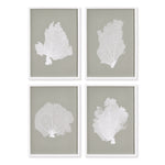 Carrie Coral Fan Prints Set of 4