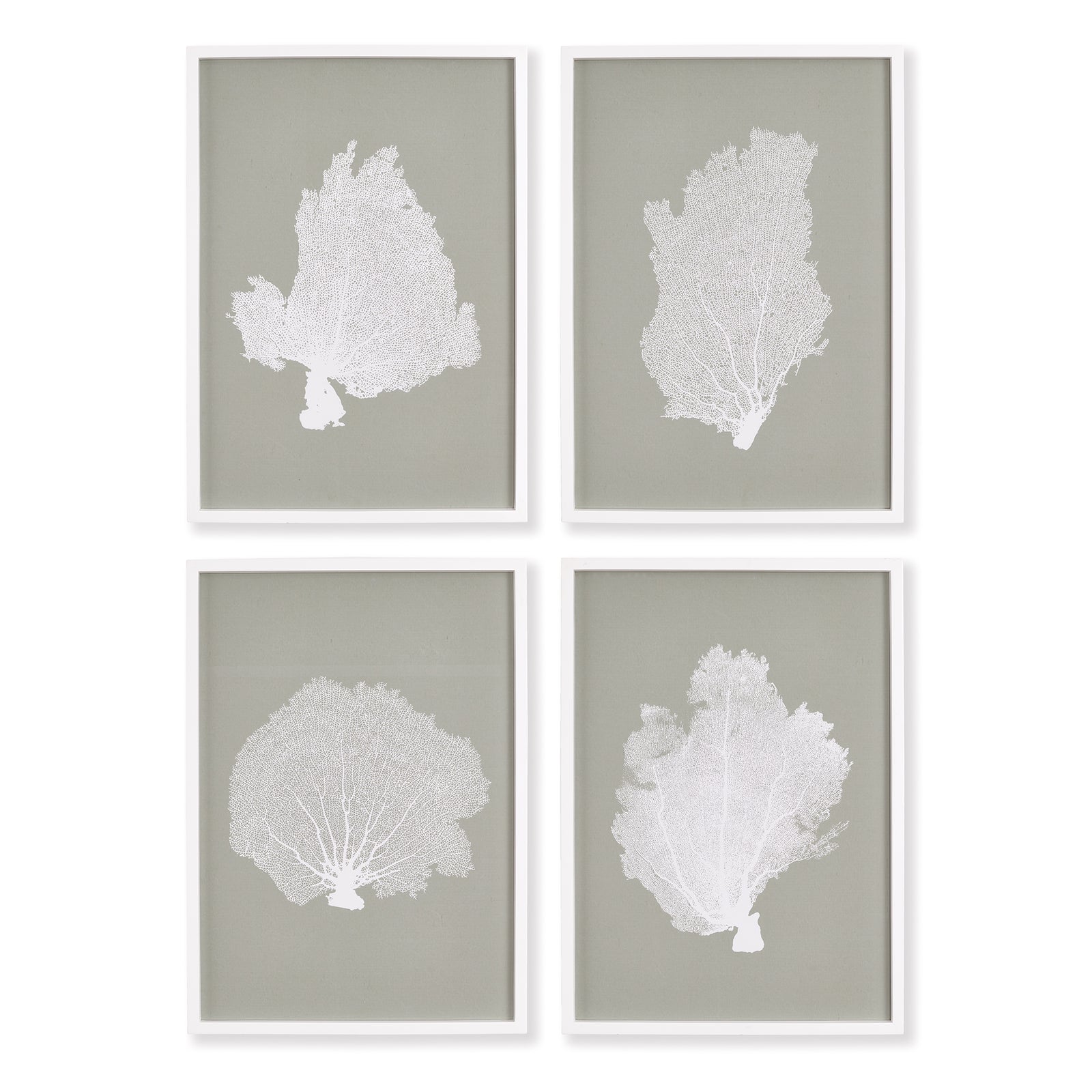 Carrie Coral Fan Prints Set of 4