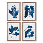 Cobalt Botanicals, Set of 4