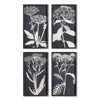 Regina Monochroma Queen Anne's Lace Prints, Set of 4