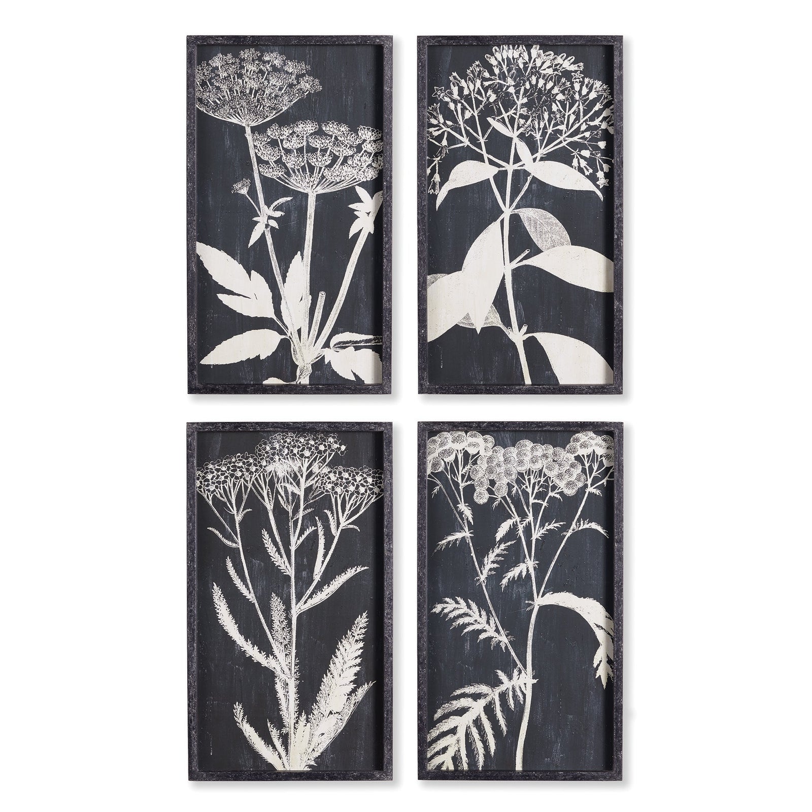 Regina Monochroma Queen Anne's Lace Prints, Set of 4
