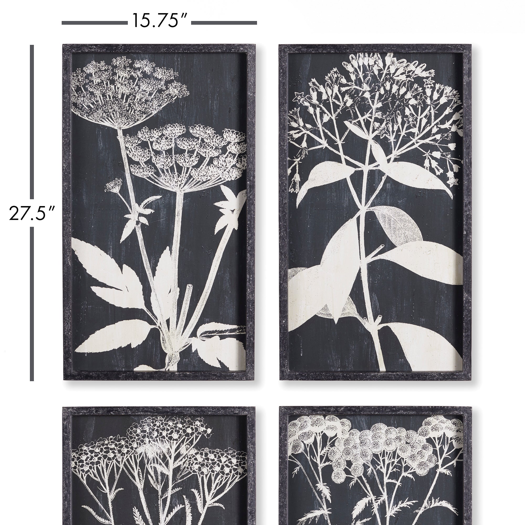 Regina Monochroma Queen Anne's Lace Prints, Set of 4