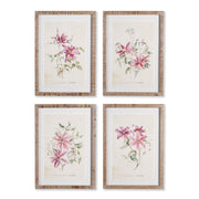 Pink Botanical Prints, Set of 4
