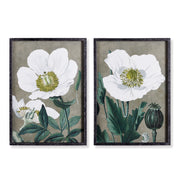 Poppy Flora Prints, Set of 2