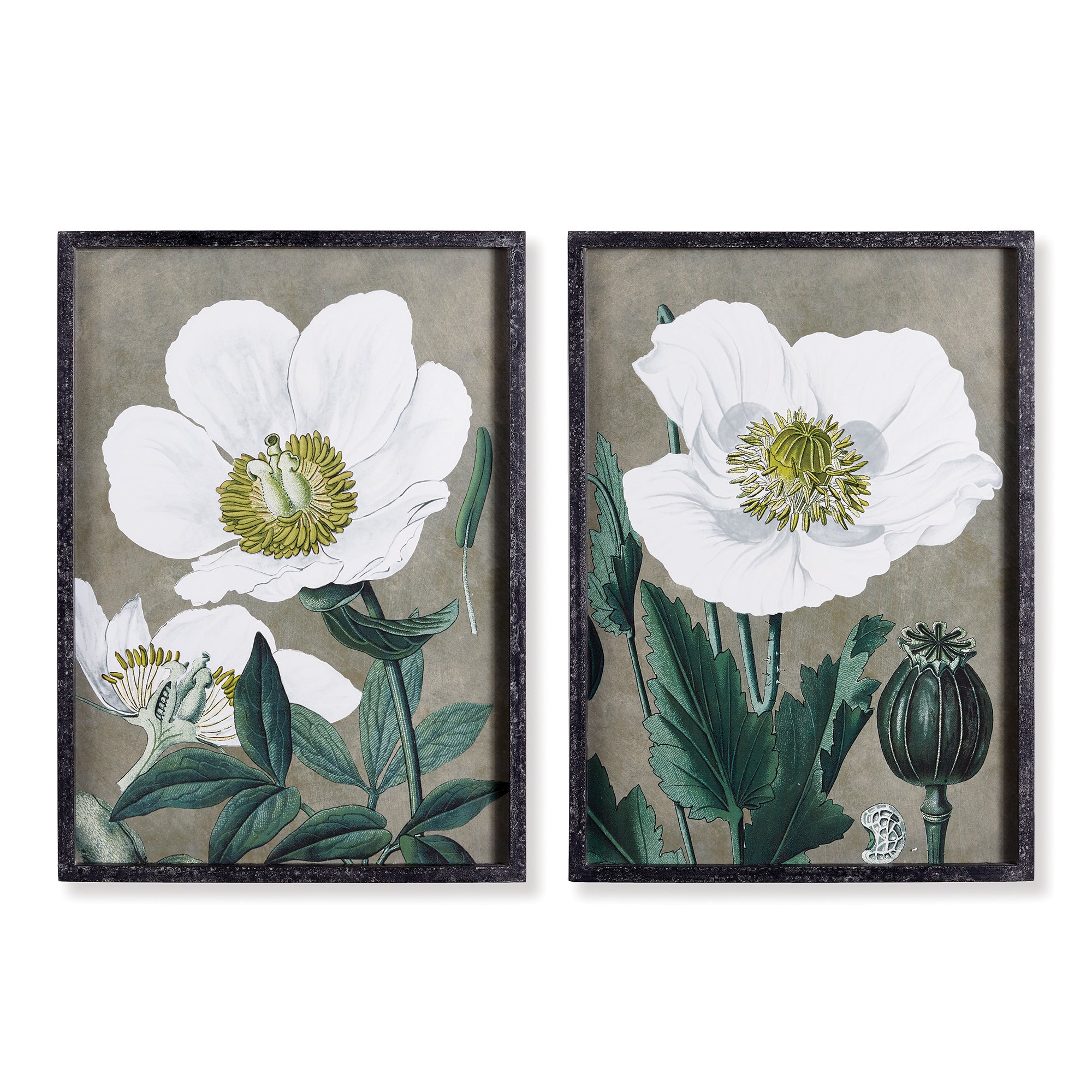 Poppy Flora Prints, Set of 2