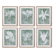 Transparent Floral Prints, Set of 6