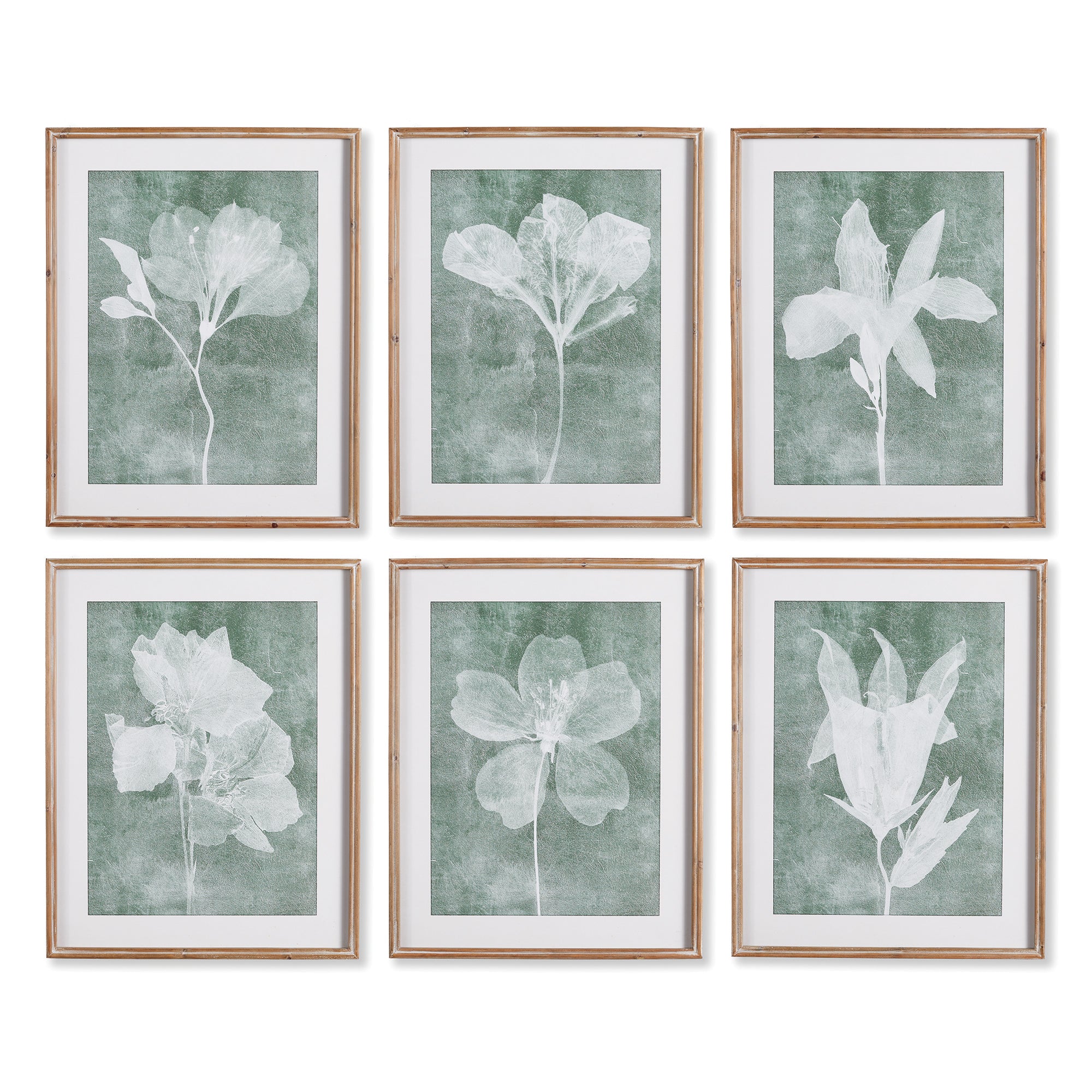 Transparent Floral Prints, Set of 6