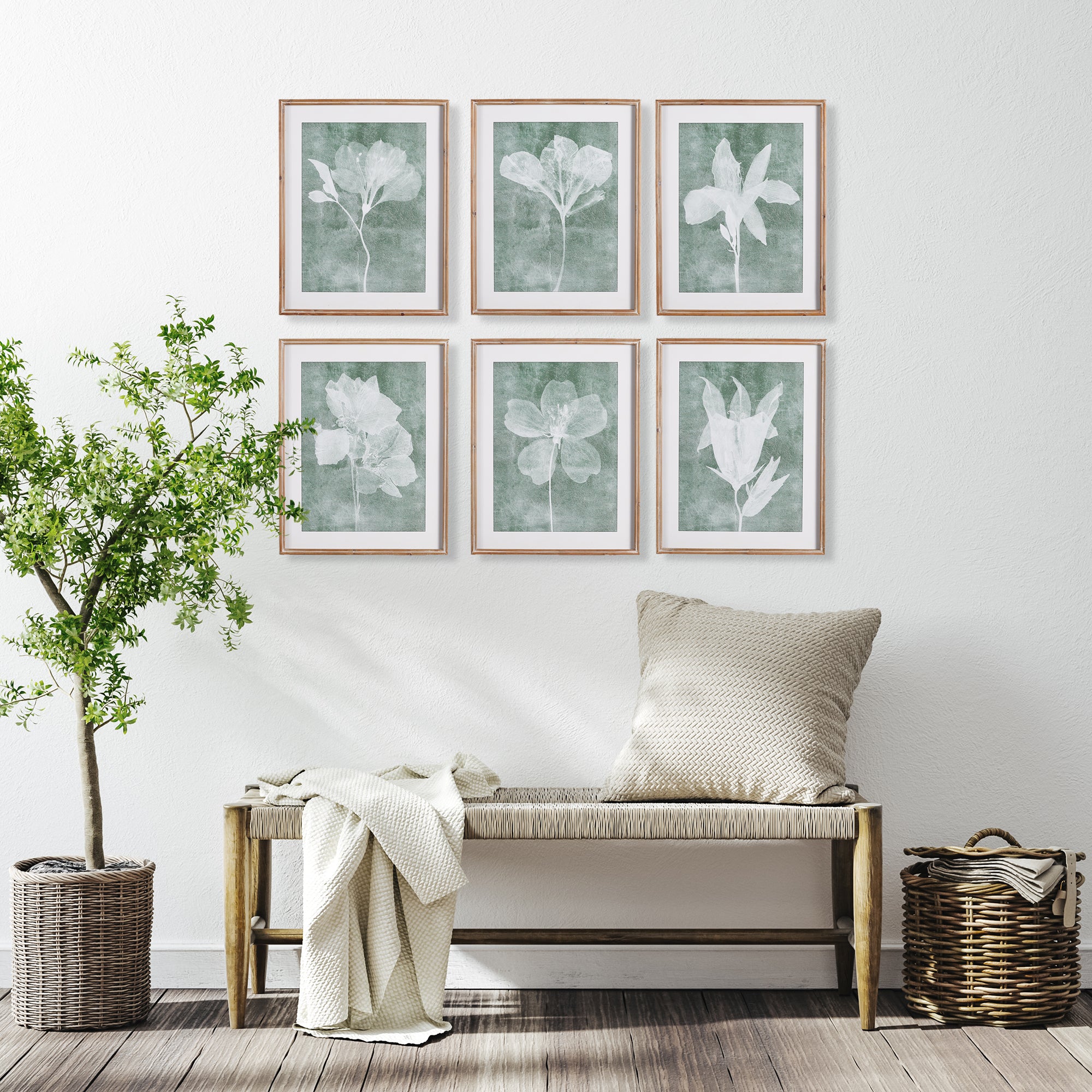 Transparent Floral Prints, Set of 6