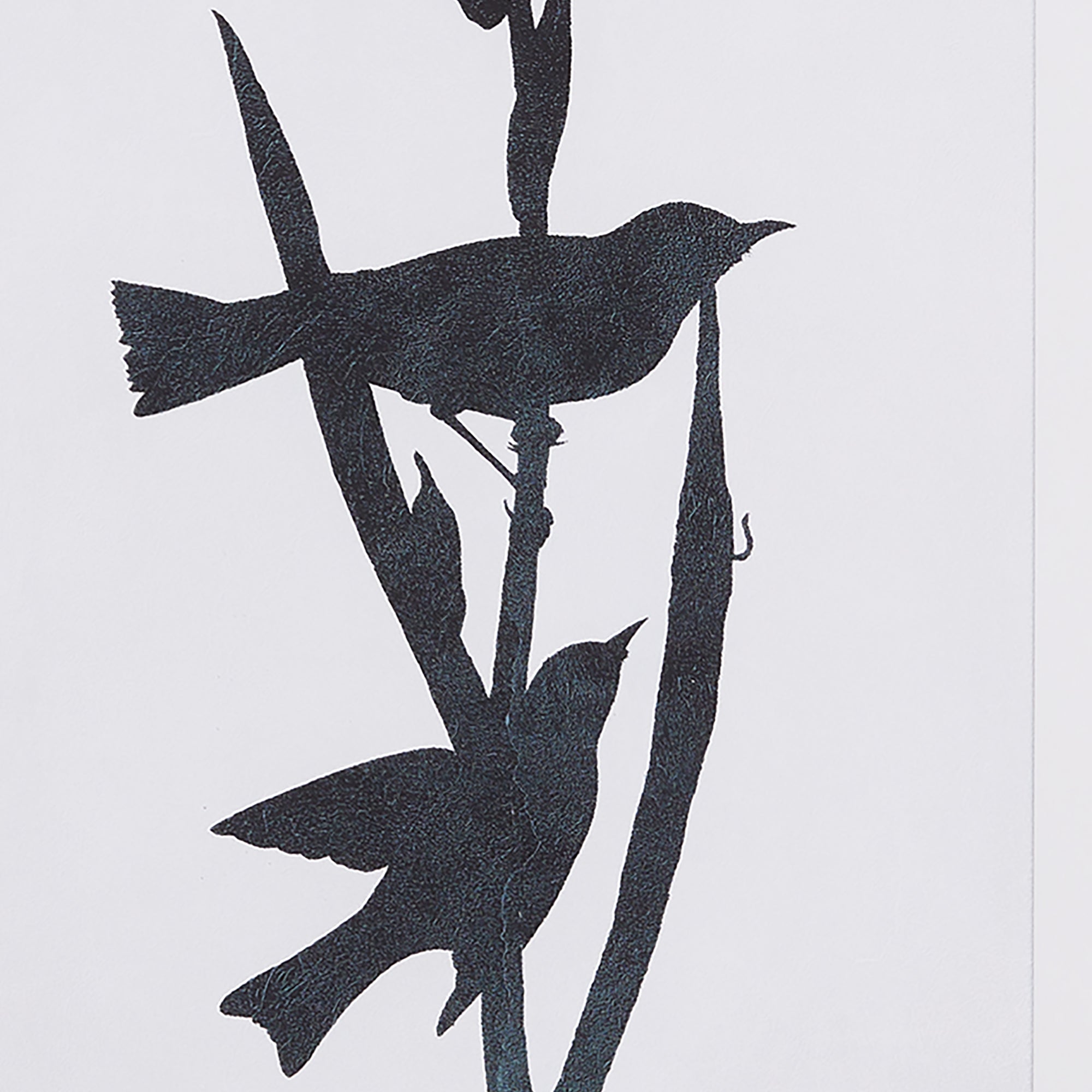 Black Birds Silhouette Prints, Set of 4