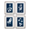 Cyanora Botanica Leaf Study, Set of 4
