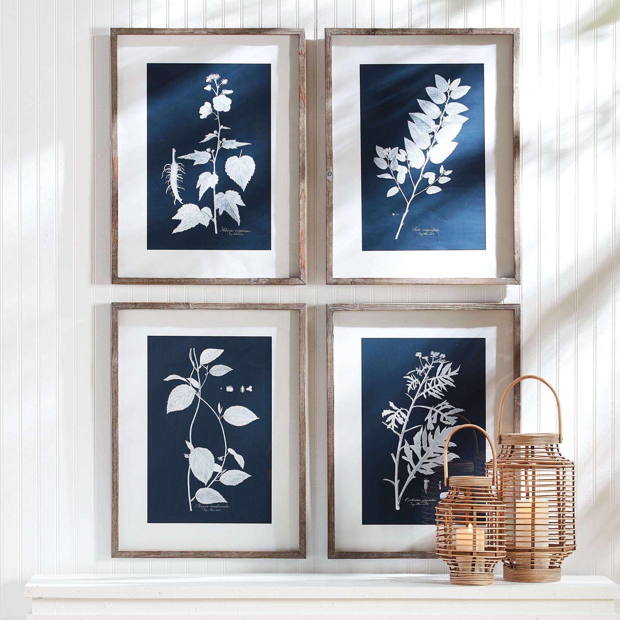 Cyanora Botanica Leaf Study, Set of 4