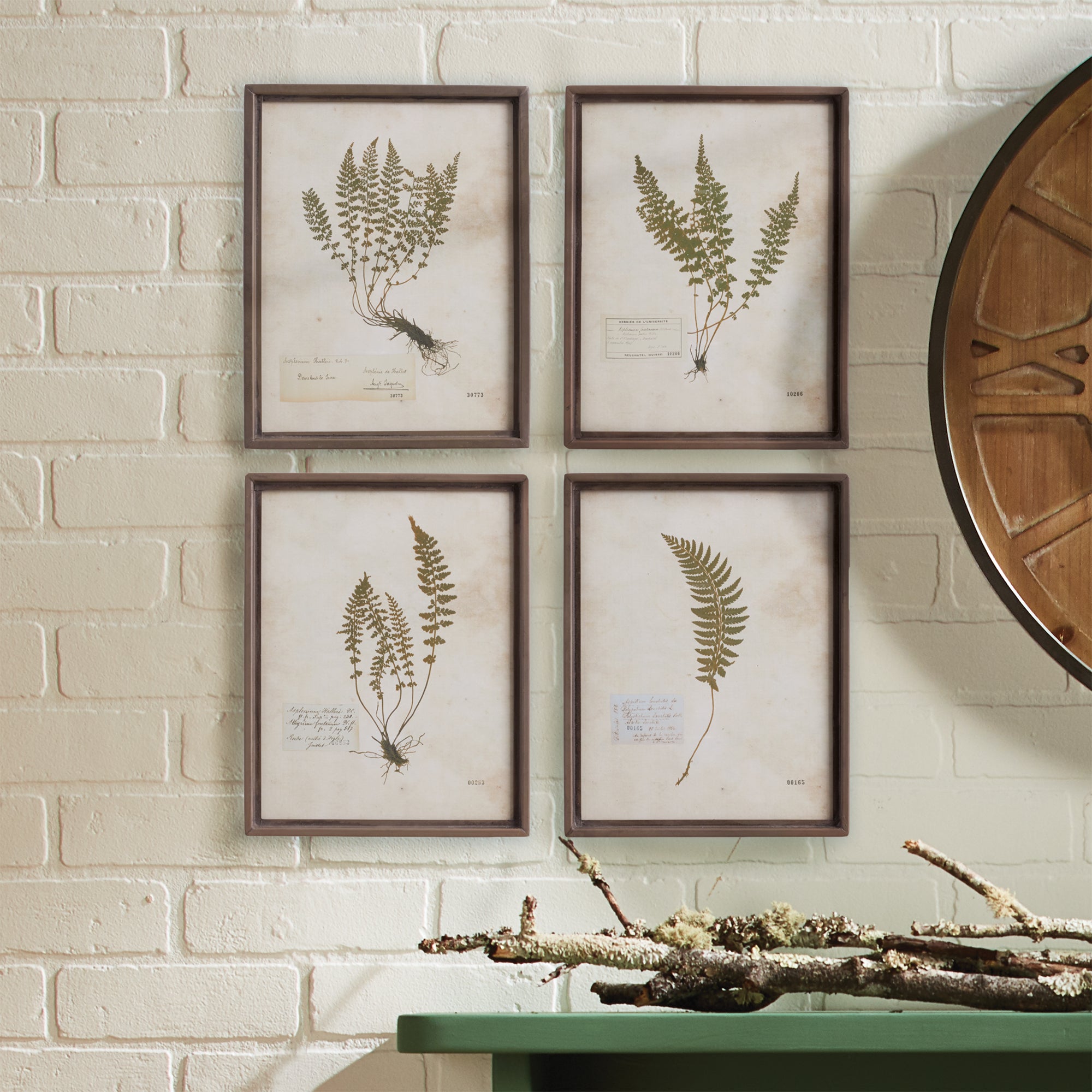 Petite Fern Prints, Set of 4
