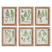 Frondy Study Petite, Set of 6