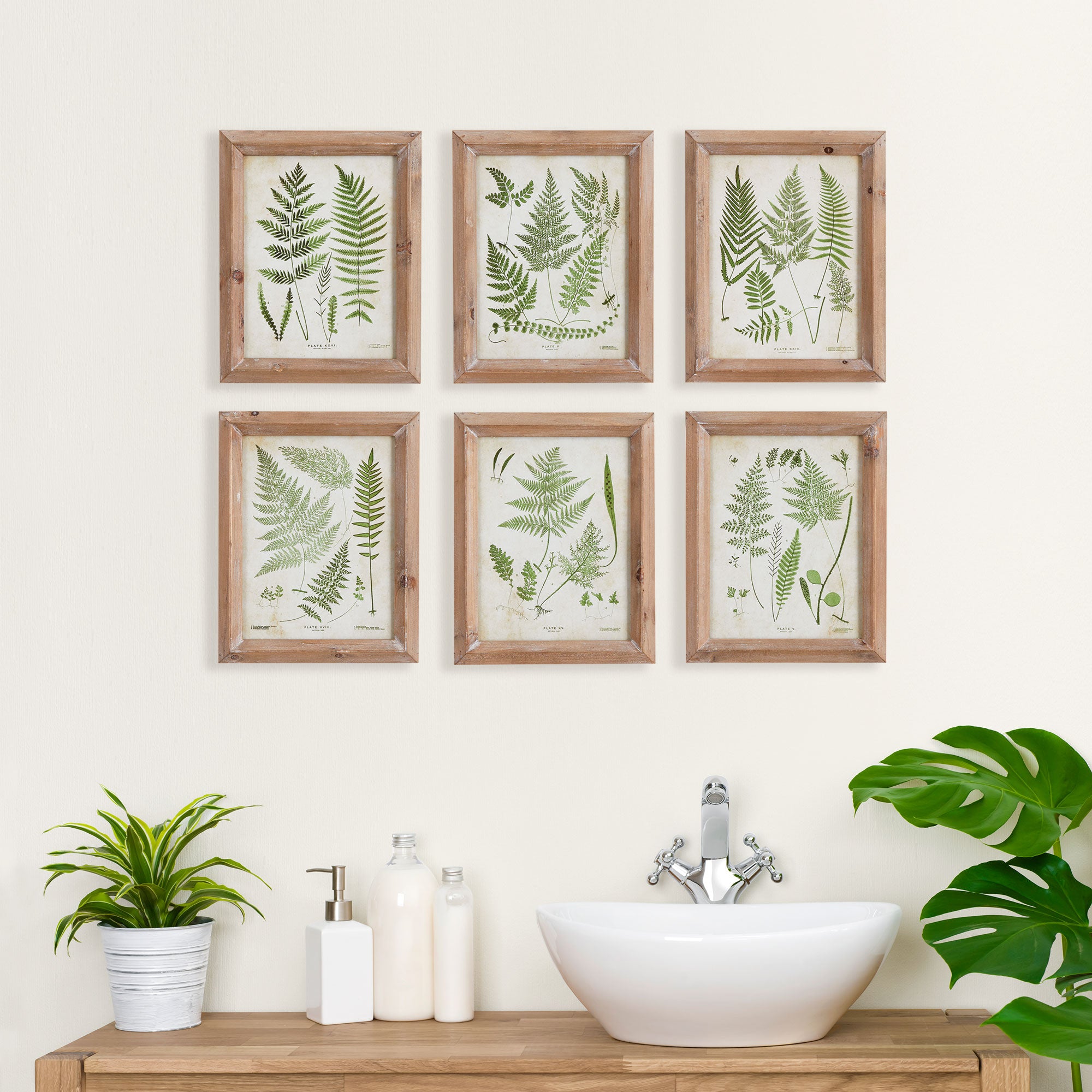 Frondy Study Petite, Set of 6