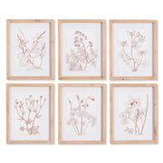 Blush Botanical Prints, Set of 6