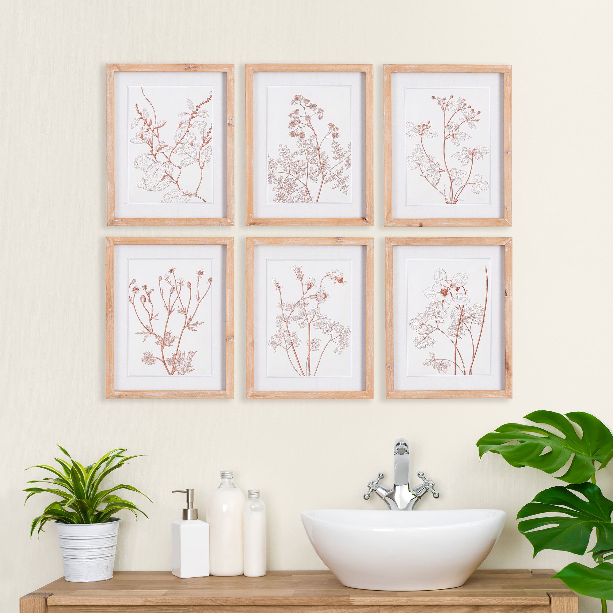 Blush Botanical Prints, Set of 6