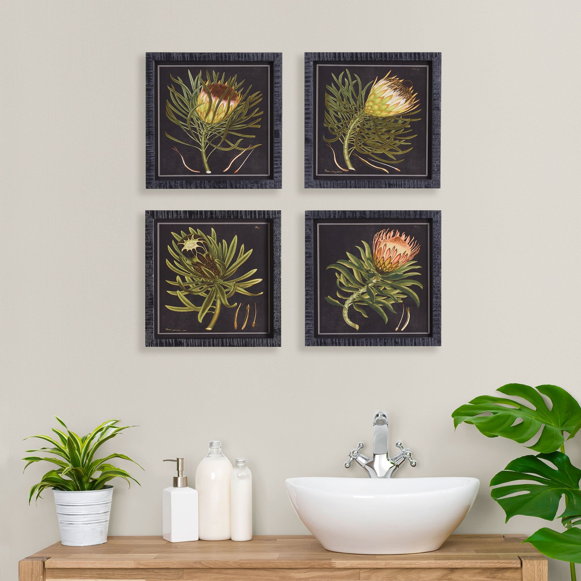 Protea Royale Petite Prints, Set of 4