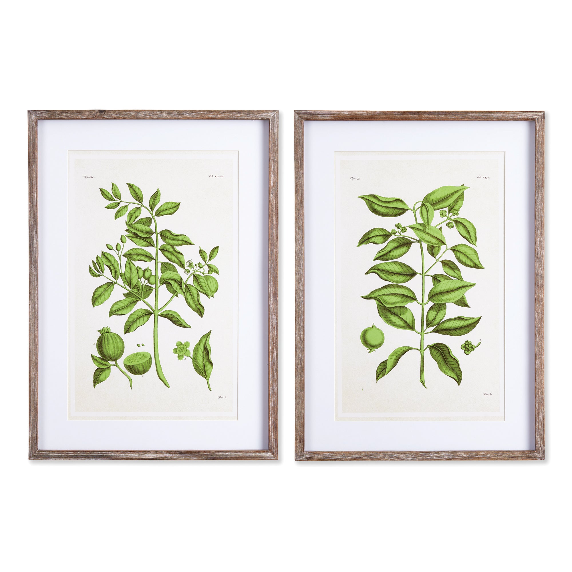 Guava Fruit Prints, Set of 2