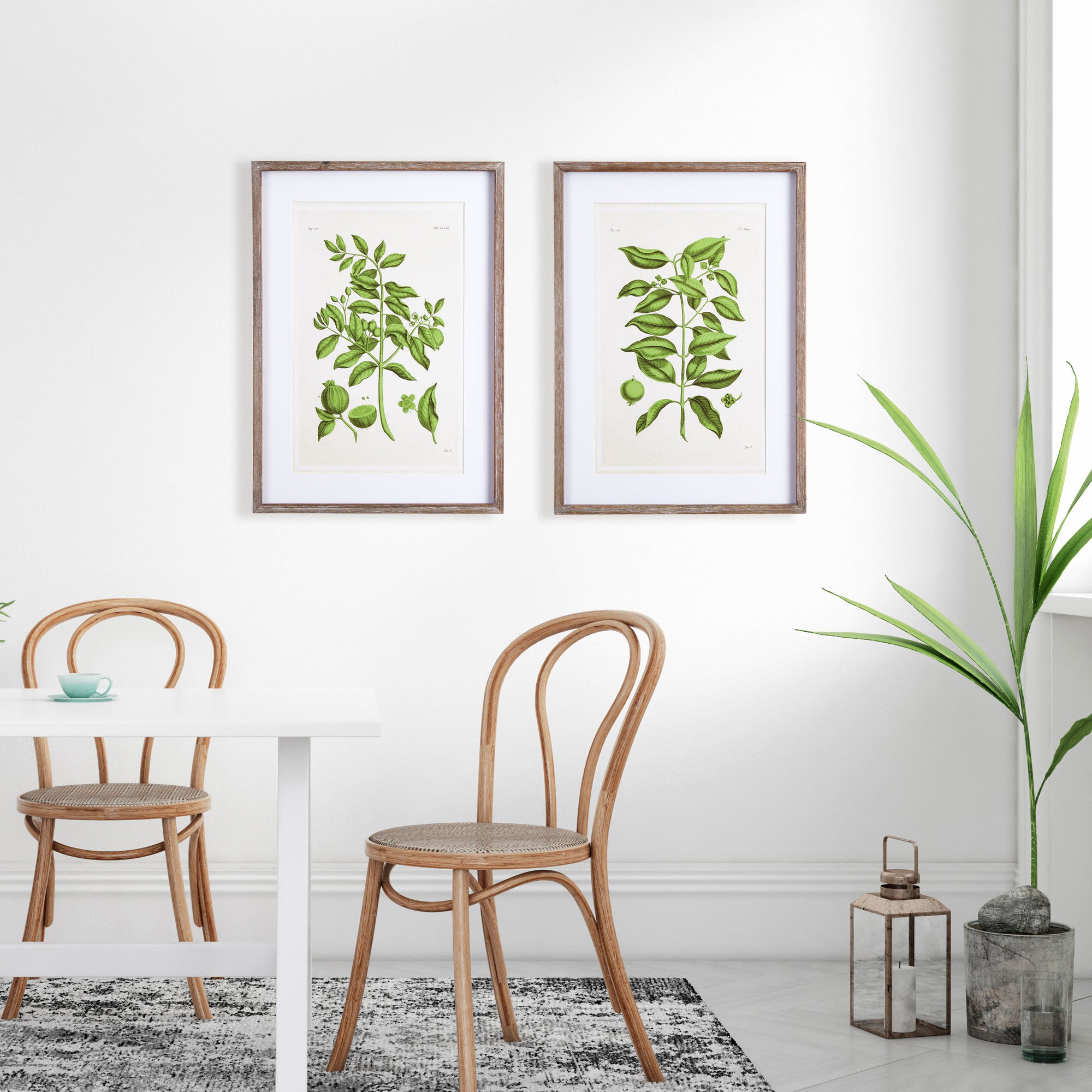 Guava Fruit Prints, Set of 2
