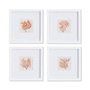 Noa Coral Petite Prints Set of 4