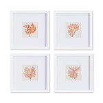 Noa Coral Petite Prints Set of 4