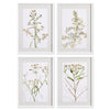 Blooming Daisy Prints Set of 4