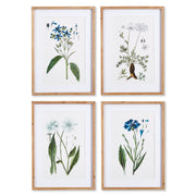 Botanical Mountain Prints, Set of 4