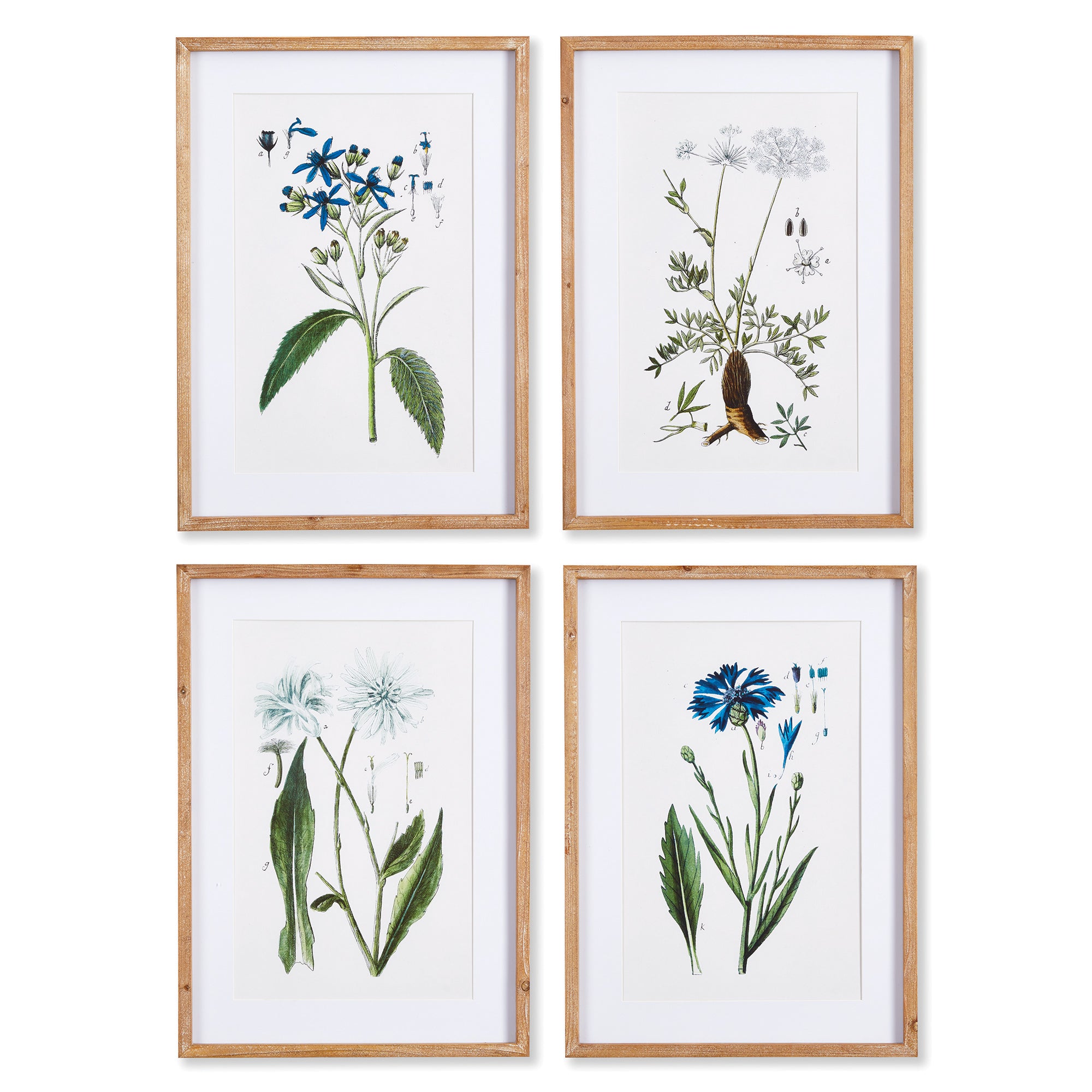 Botanical Mountain Prints, Set of 4