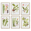 Leafy Botanical Study, Set of 6