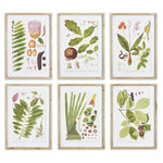 Leafy Botanical Study, Set of 6