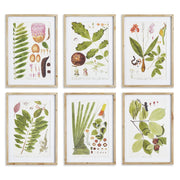 Leafy Botanical Study, Set of 6