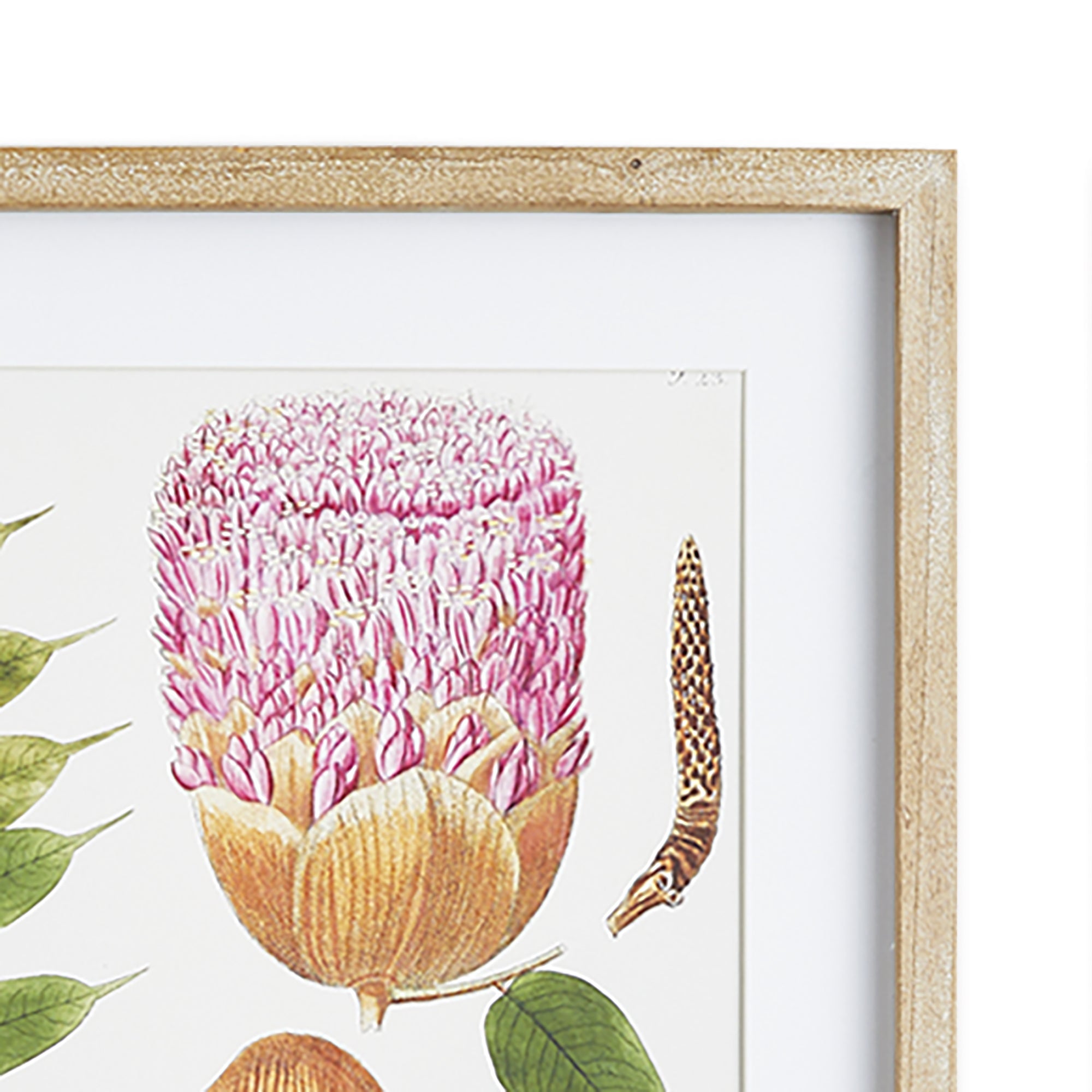 Leafy Botanical Study, Set of 6
