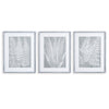House of Ferns Prints, Set of 3