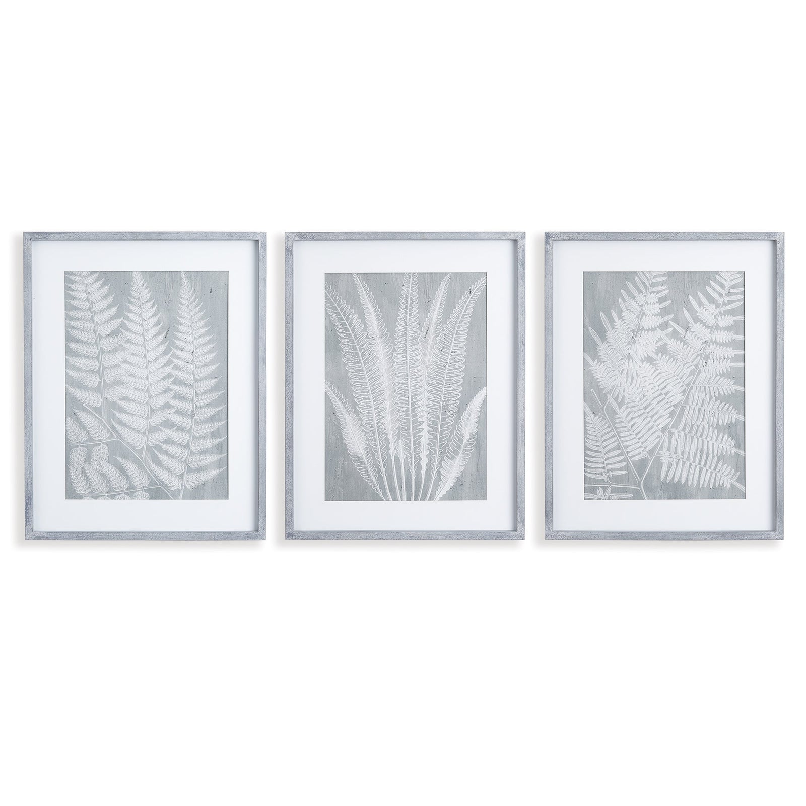 House of Ferns Prints, Set of 3