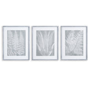 House of Ferns Prints, Set of 3