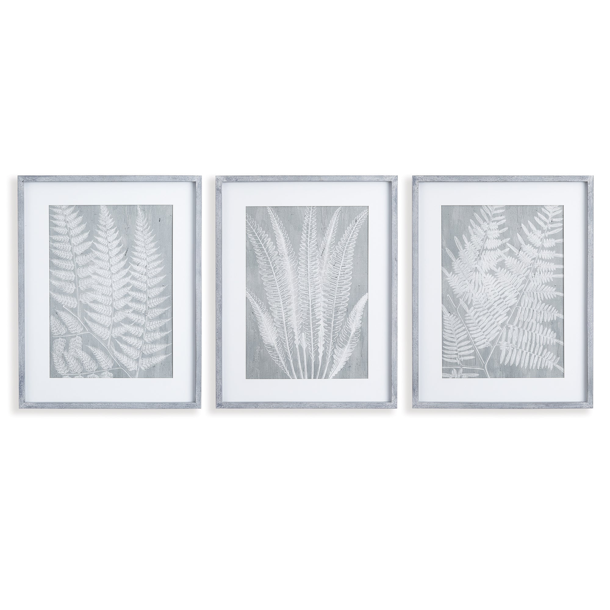House of Ferns Prints, Set of 3