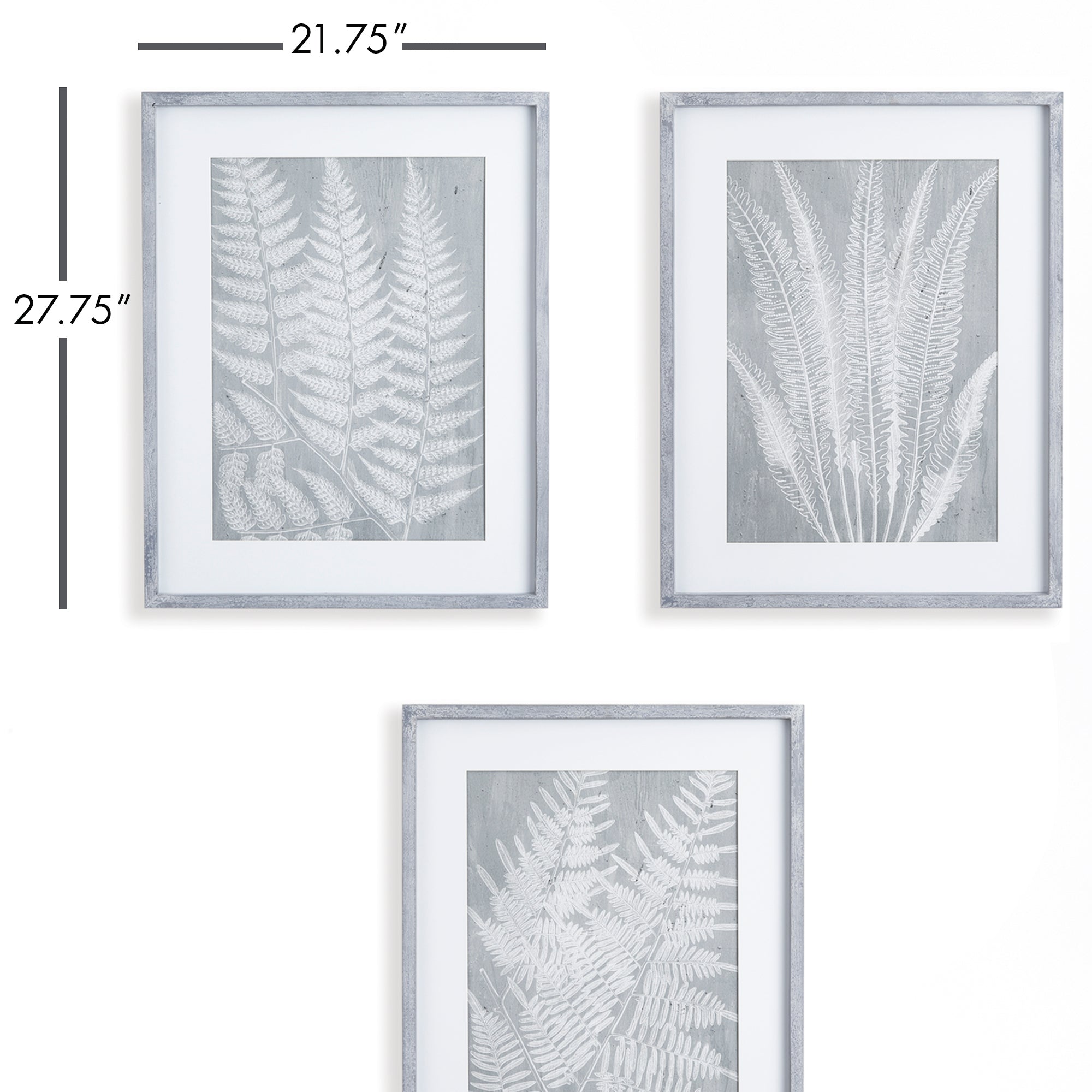 House of Ferns Prints, Set of 3
