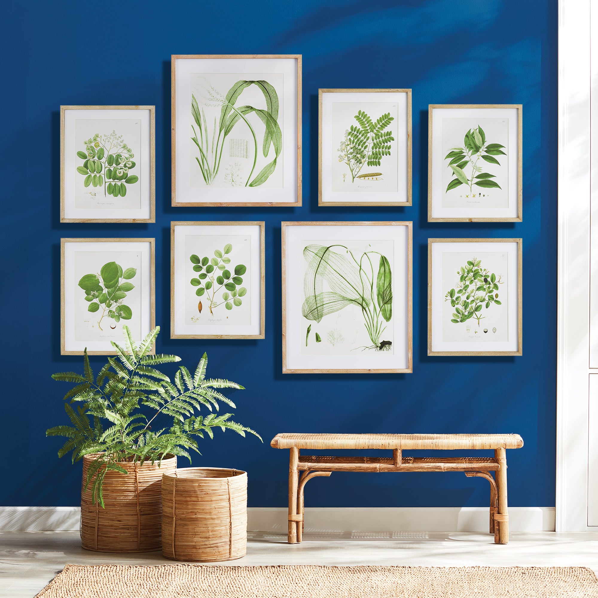 Tree Leaves Study, Set of 6
