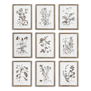 Sepia Foliage Study, Set of 9