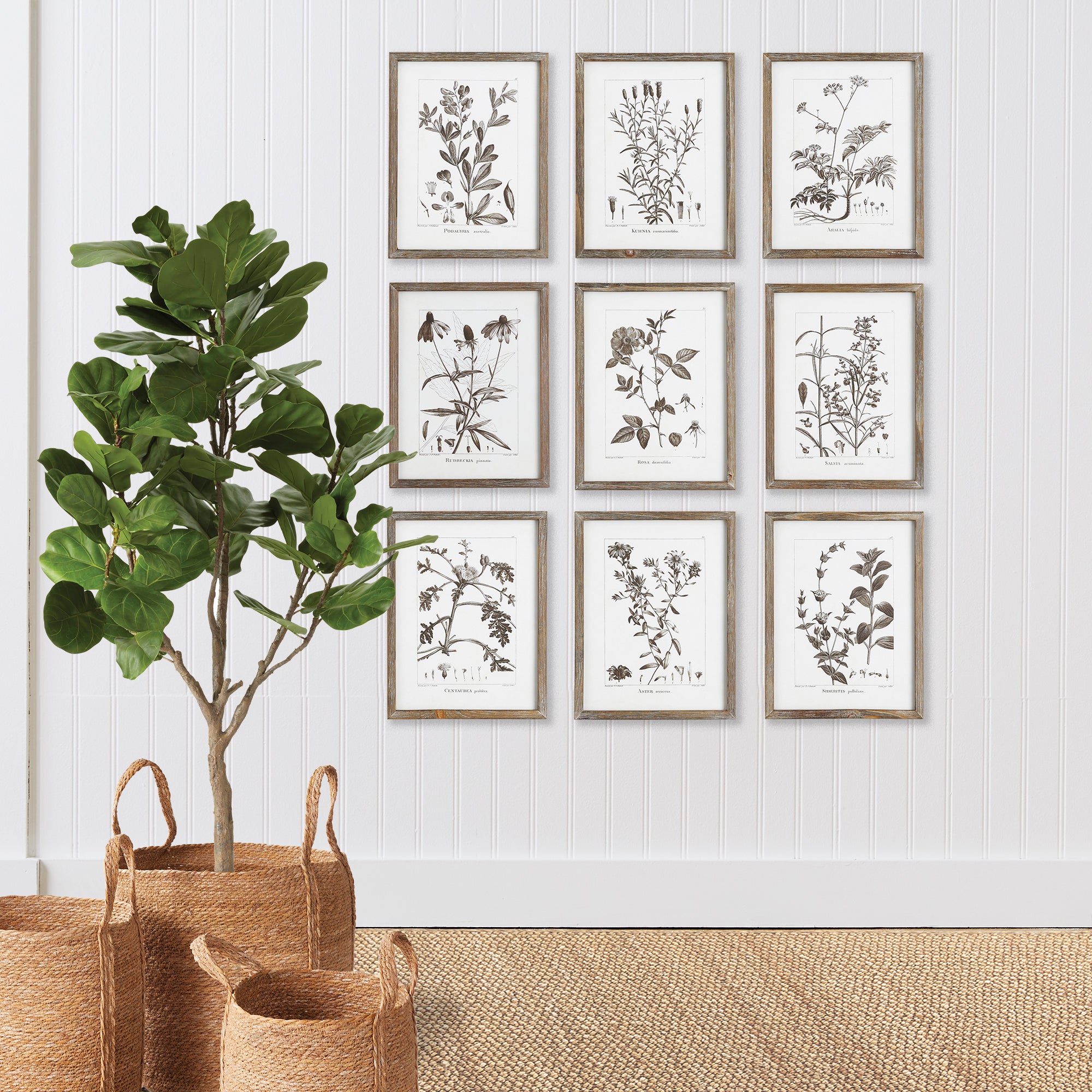 Sepia Foliage Study, Set of 9