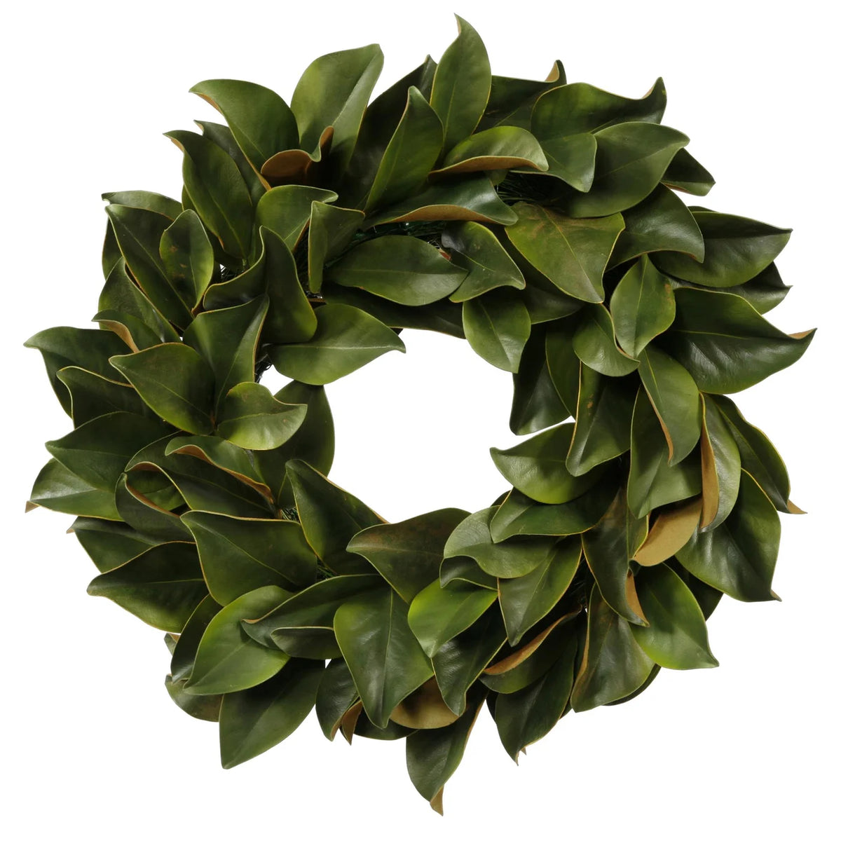 Wreath Magnolia Leaf