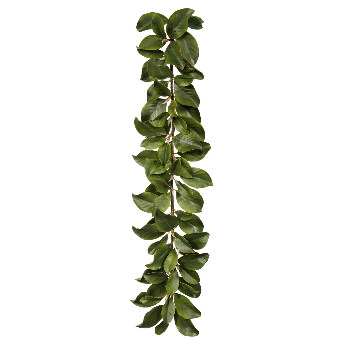 Garland Magnolia Leaf