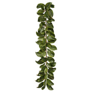 Garland Magnolia Leaf
