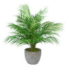 Palmetto