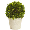 BOXWOOD TOPIARY 12'' (GREEN)